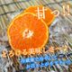 �ھ����ֹ棱����̪��������Υ��ե�Ȣ�����ӥ����������ʡ���������