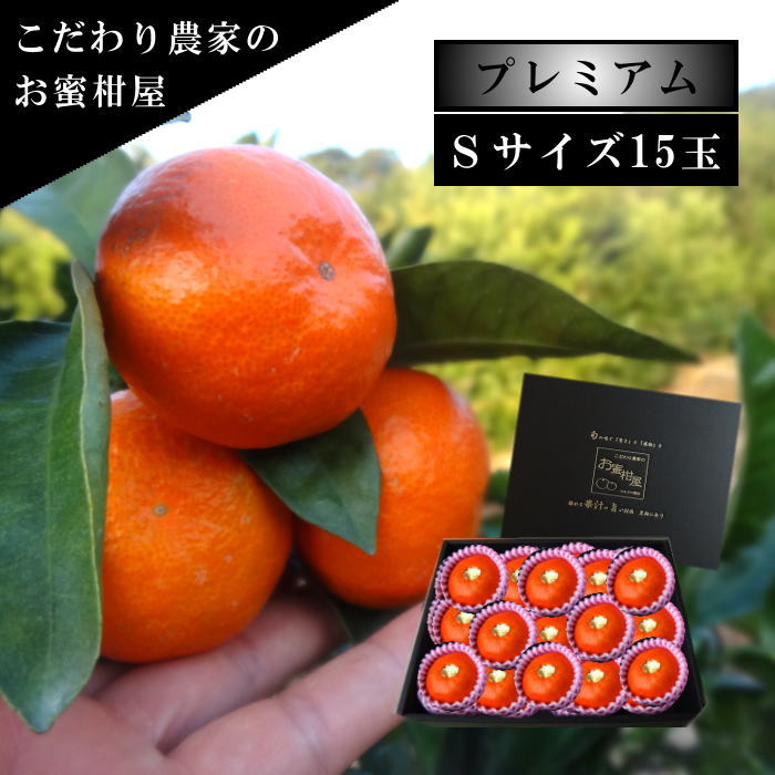 ھֹ棷ͼƤɱβȢˡӥץߥࡡ