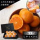 �ھ����ֹ棵�������д��������β���Ȣ����� �̥������������ץ�ߥ��ࡡ��������