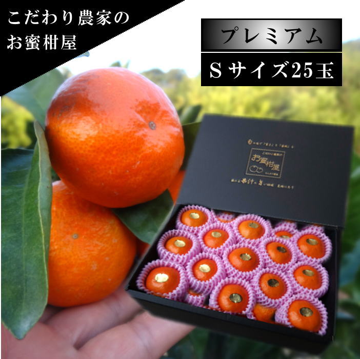 �ھ����ֹ棷������ͼ�Ƥ�ɱ�����β���Ȣ����ˡ��ӥ������������ץ�ߥ��ࡡ��������
