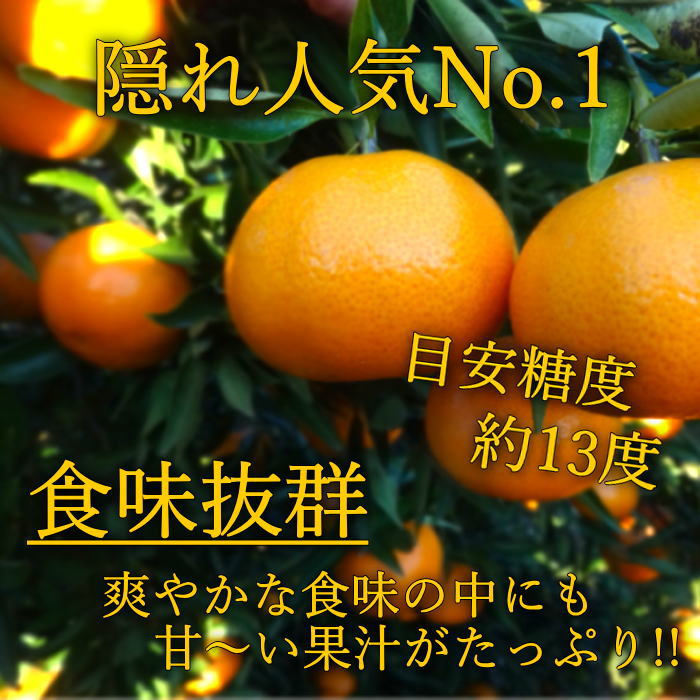 �ھ����ֹ棵�������ۡ�2/14���Ϥ�����۽ܤ���祳�äȵͤ��碌���͵����ʼ���β���Ȣ����ˡ��󣲡��������