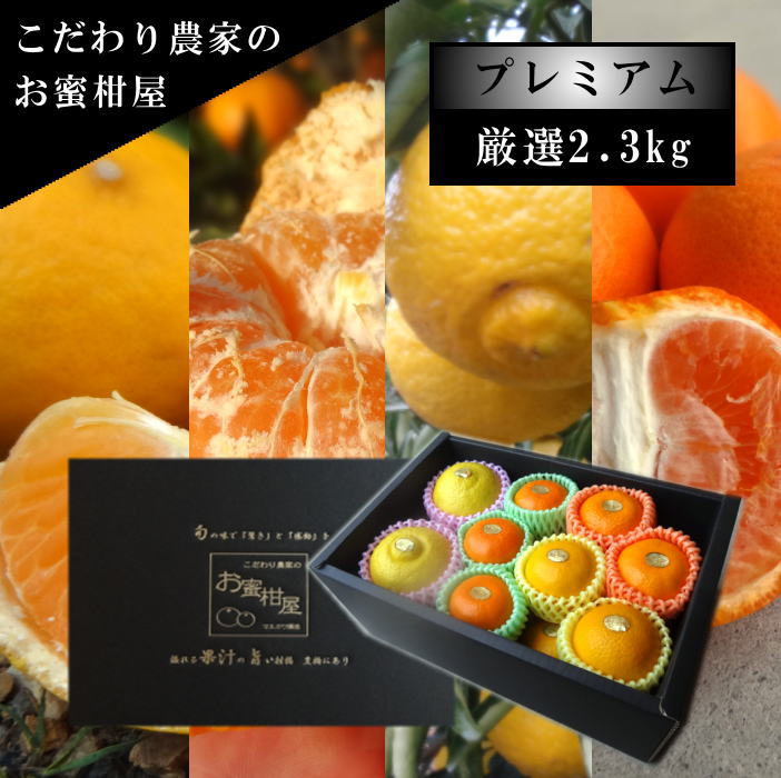 �ھ����ֹ棵�������ۡ�2/14���Ϥ�����۽ܤ���祳�äȵͤ��碌���͵����ʼ���β���Ȣ����ˡ��󣲡��������