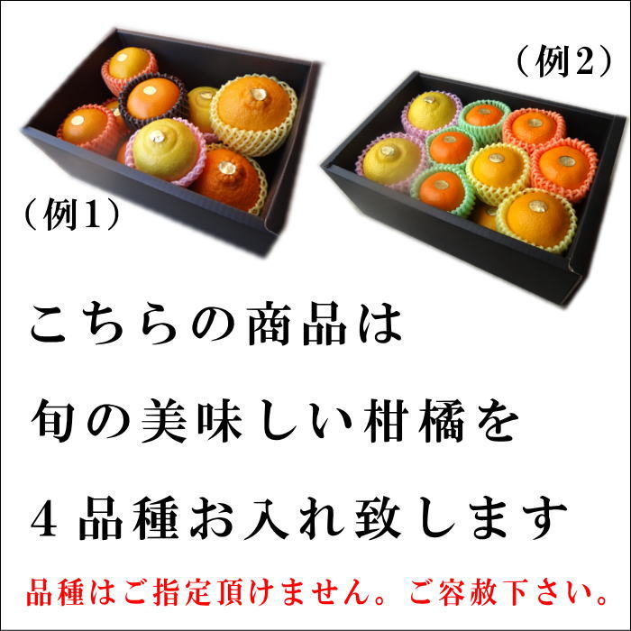 �ھ����ֹ棵�������ۡ�2/14���Ϥ�����۽ܤ���祳�äȵͤ��碌���͵����ʼ���β���Ȣ����ˡ��󣲡��������