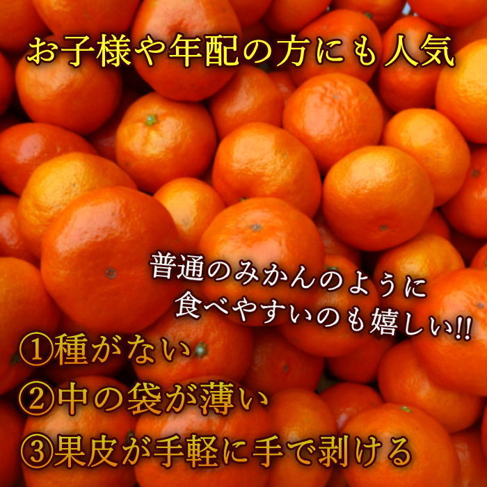 �ھ����ֹ棷������ͼ�Ƥ�ɱ���쥮��顼Ȣ���ͥ������������ץ�ߥ��ࡡ��������