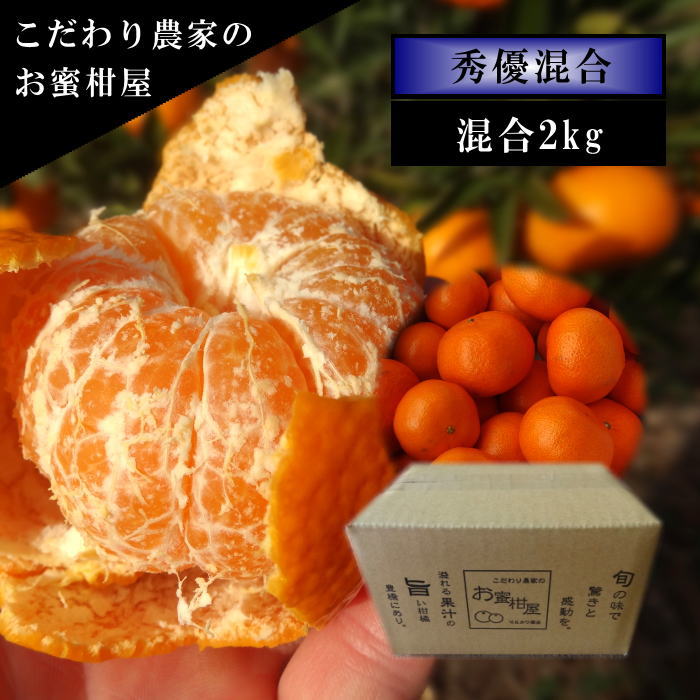 �ھ����ֹ棳�����ۼ���������Ȣ�����������硡��ͥ�����ʡ��󣲣����