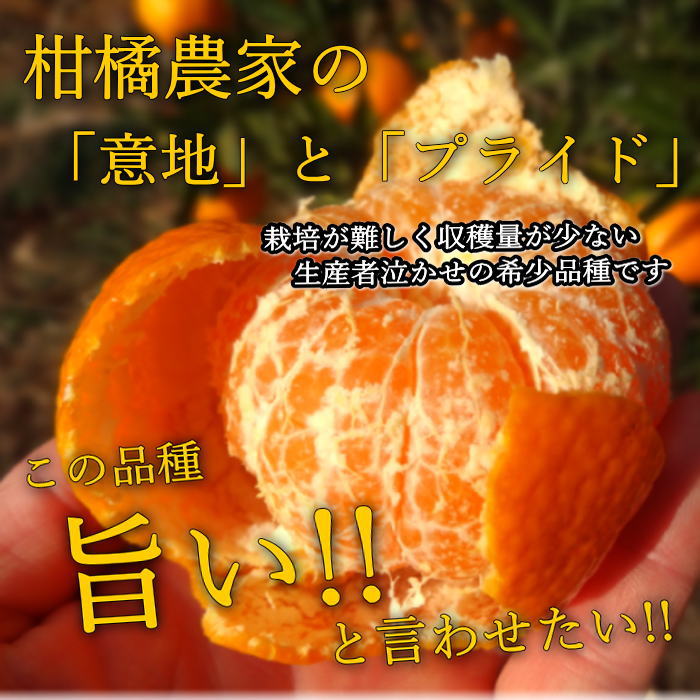 �ھ����ֹ棳�����ۼ���������Ȣ�����������硡��ͥ�����ʡ��󣲣����