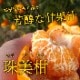�ھ����ֹ棳�����ۼ���������Ȣ�����������硡��ͥ�����ʡ��󣲣����