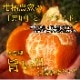 �ھ����ֹ棳�����ۼ���������Ȣ�����������硡��ͥ�����ʡ��󣲣����