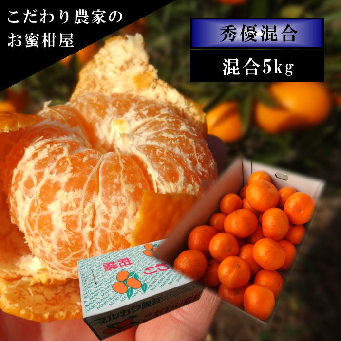 �ھ����ֹ棳�����ۼ��������쥮��顼Ȣ�����������硡��ͥ�����ʡ��󣵣����