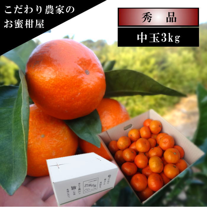 ھֹ棷ͼƤɱΥեȢ̥ʡ󣳣