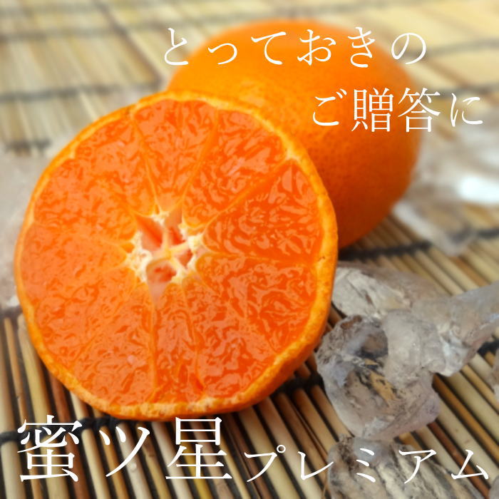 ھֹ棵ۡڥݥ5ܡ̪ץߥࡡβȢ()̼ͥ£