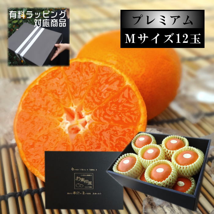 ھֹ棵ۡڥݥ5ܡ̪ץߥࡡβȢ()̼ͥ£