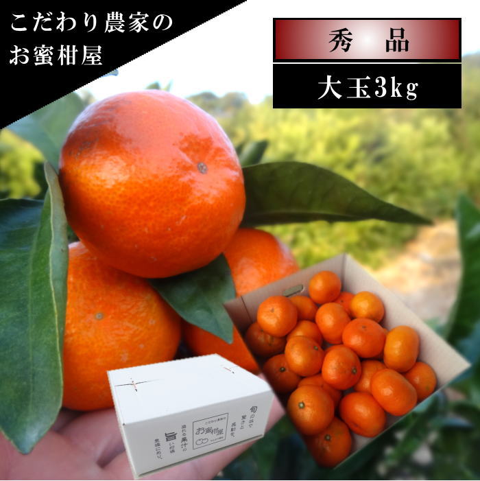 ھֹ棷ͼƤɱΥեȢ̥ʡ󣳣