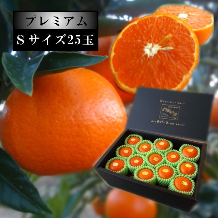 �ھ����ֹ棳������̪Ƿ˾�����β���Ȣ����ˡ��ӥ������������ץ�ߥ��ࡡ��������