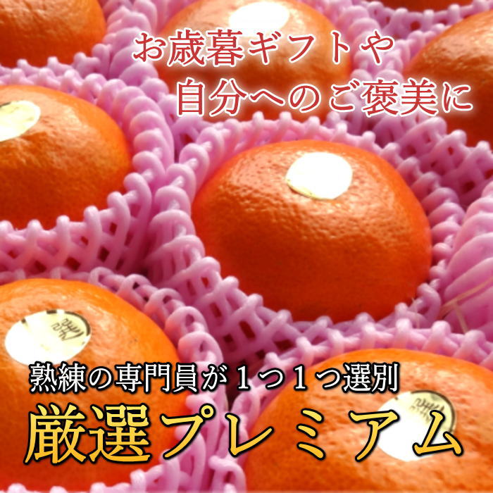 �ھ����ֹ棷������ͼ�Ƥ�ɱ���쥮��顼Ȣ����̥����������ʡ��󣵣����