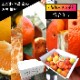 ھֹ棲ۡںǯ1ֿ͵ζ̼ȢۤΤߤ̼Ȣ-NIJIIRO-ΥեȢ͵ʼ硡ѡ3