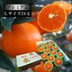 �ھ����ֹ棳������̪Ƿ˾���쥮��顼Ȣ���̥������������ץ�ߥ��ࡡ��������