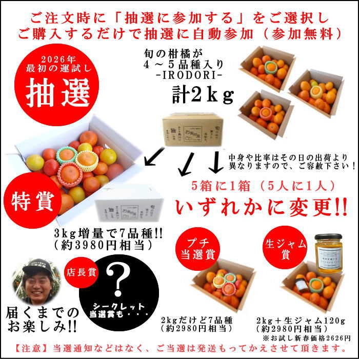 �ھ����ֹ棲�������ۡڿ�ǯ�α��/������������ۤ������Τ��ߤ���ʡ��2026-IRODORI-����Ȣ�����������硡�������ѡ��󣲣����