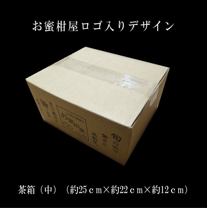 ھֹ棲ۡڿǯα/̡ۤΤߤʡ2025-IRODORI-Ȣ硡ѡ󣲣