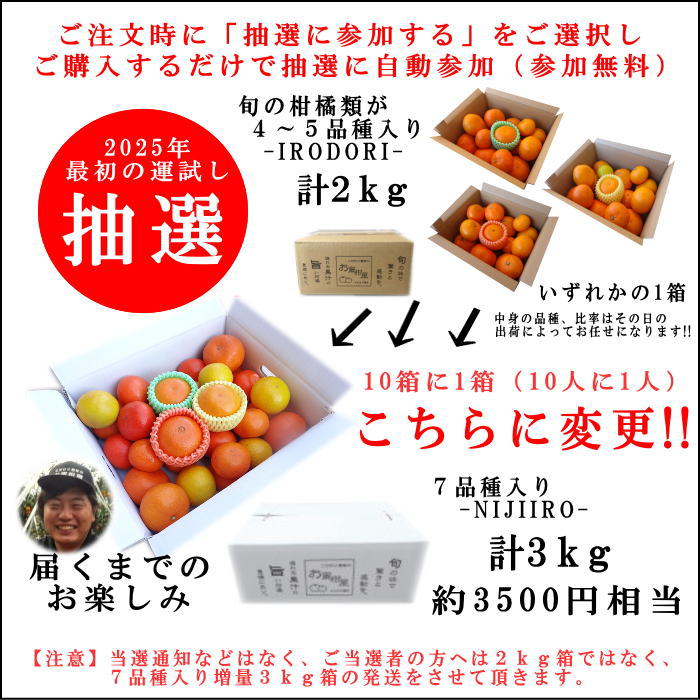 ھֹ棲ۡڿǯα/̡ۤΤߤʡ2025-IRODORI-Ȣ硡ѡ󣲣