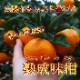 ھֹ棲ۡڿǯα/̡ۤΤߤʡ2025-IRODORI-Ȣ硡ѡ󣲣