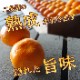 ھֹ棲ۡڿǯα/̡ۤΤߤʡ2025-IRODORI-Ȣ硡ѡ󣲣