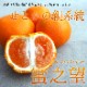 ھֹ棲ۡڿǯα/̡ۤΤߤʡ2025-IRODORI-Ȣ硡ѡ󣲣
