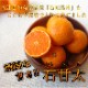 ھֹ棲ۡڿǯα/̡ۤΤߤʡ2025-IRODORI-Ȣ硡ѡ󣲣