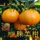 ھֹ棲ۡڿǯα/̡ۤΤߤʡ2025-IRODORI-Ȣ硡ѡ󣲣