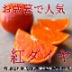 ھֹ棲ۡڿǯα/̡ۤΤߤʡ2025-IRODORI-Ȣ硡ѡ󣲣