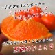 ھֹ棲ۡڿǯα/̡ۤΤߤʡ2025-IRODORI-Ȣ硡ѡ󣲣