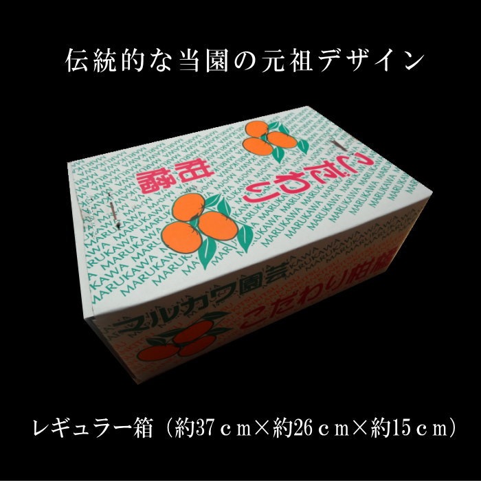 �ھ����ֹ棳������̪Ƿ˾���쥮��顼Ȣ�����̥������������ץ�ߥ��ࡡ��������