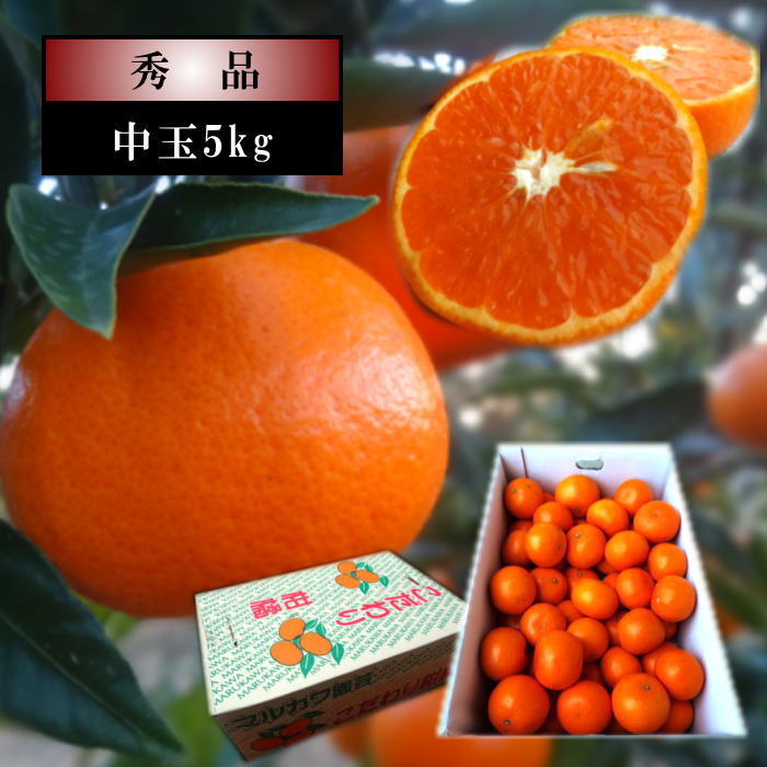 �ھ����ֹ棳������̪Ƿ˾���쥮��顼Ȣ����̥����������ʡ��󣵣����