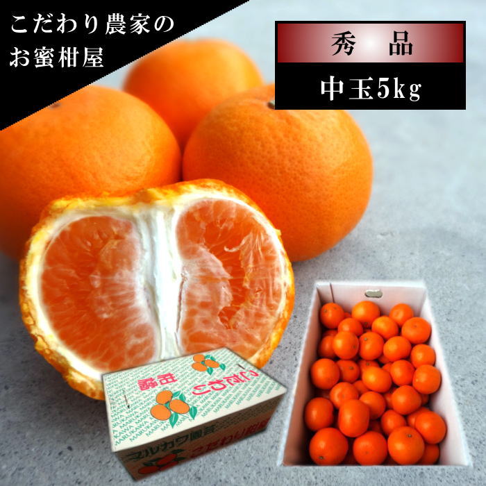 ھֹ棳̪Ƿ˾쥮顼Ȣ̥ʡ󣵣