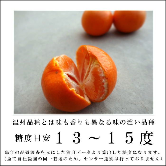 ھֹ棳̪Ƿ˾쥮顼Ȣ̥ʡ󣵣