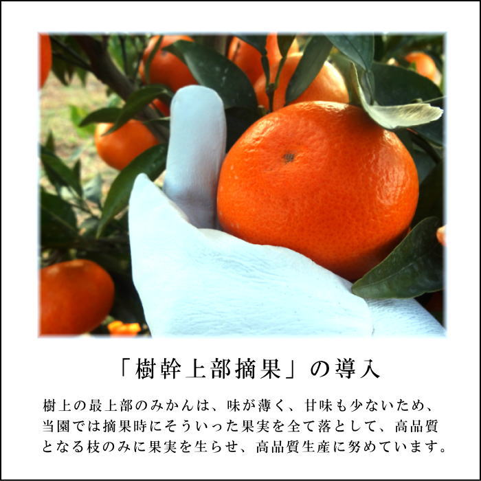 ھֹ棳̪Ƿ˾쥮顼Ȣ̥ʡ󣵣