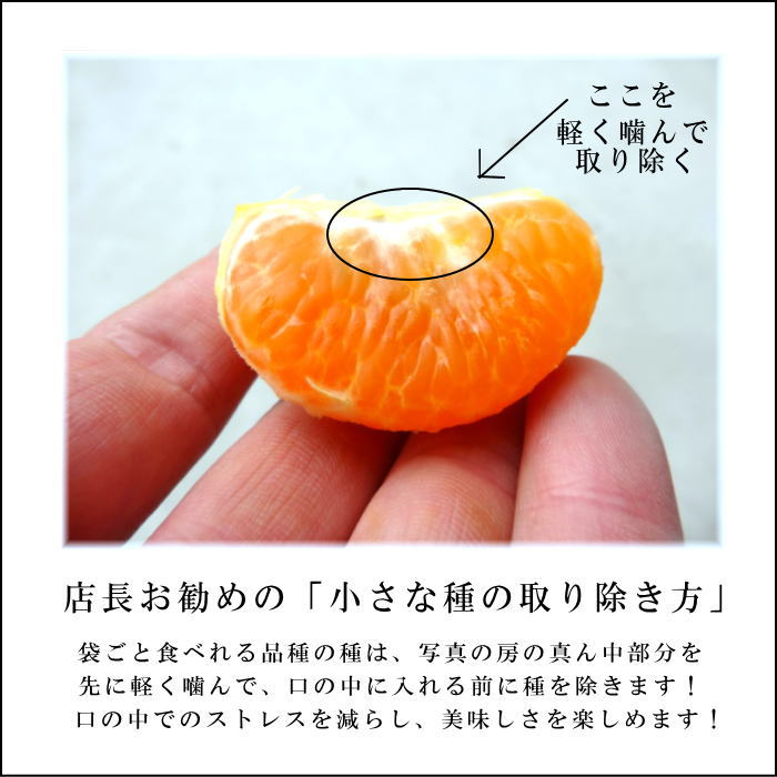 ھֹ棳̪Ƿ˾쥮顼Ȣ̥ʡ󣵣