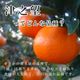 �ھ����ֹ棳������̪Ƿ˾���쥮��顼Ȣ����̥����������ʡ��󣵣����