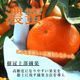 �ھ����ֹ棳������̪Ƿ˾���쥮��顼Ȣ����̥����������ʡ��󣵣����