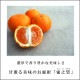 ھֹ棳̪Ƿ˾쥮顼Ȣ̥ʡ󣵣