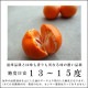 ھֹ棳̪Ƿ˾쥮顼Ȣ̥ʡ󣵣