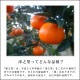 ھֹ棳̪Ƿ˾쥮顼Ȣ̥ʡ󣵣