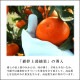 ھֹ棳̪Ƿ˾쥮顼Ȣ̥ʡ󣵣