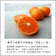 ھֹ棳̪Ƿ˾쥮顼Ȣ̥ʡ󣵣