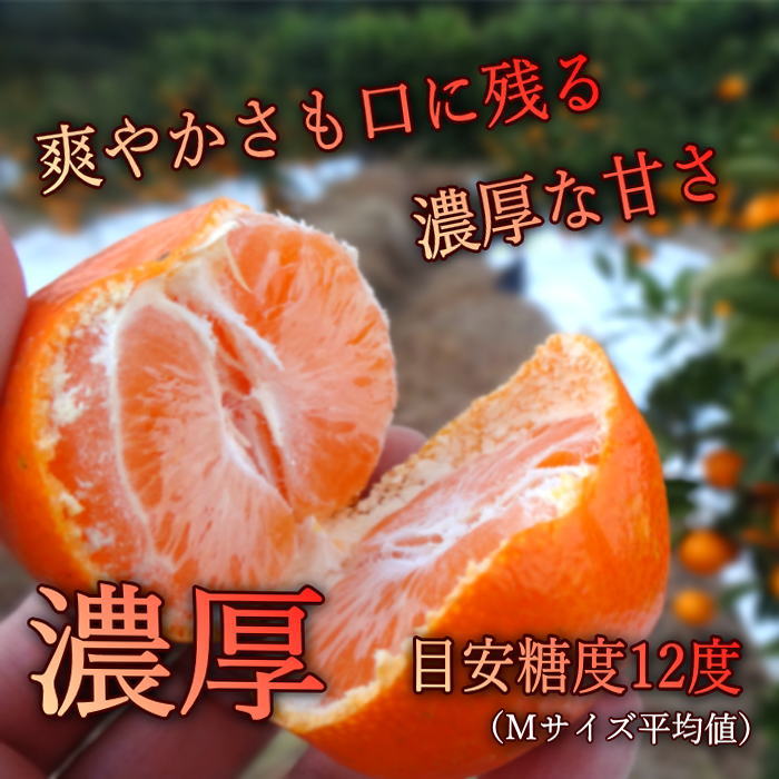 �ھ����ֹ棷������ͼ�Ƥ�ɱ���쥮��顼Ȣ�����������硡��ͥ���硡�󣵣����