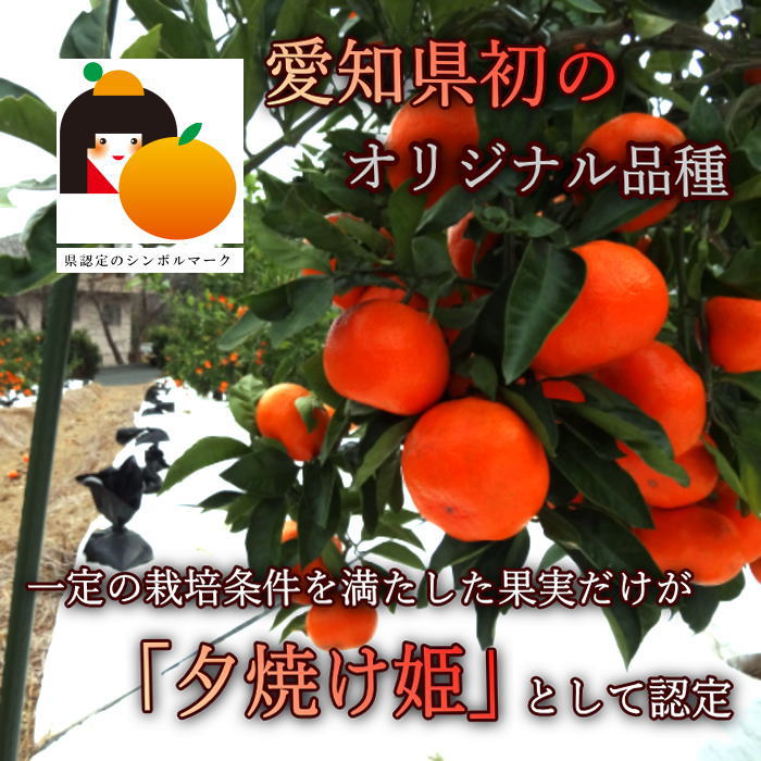 �ھ����ֹ棷������ͼ�Ƥ�ɱ���쥮��顼Ȣ�����������硡��ͥ���硡�󣵣����