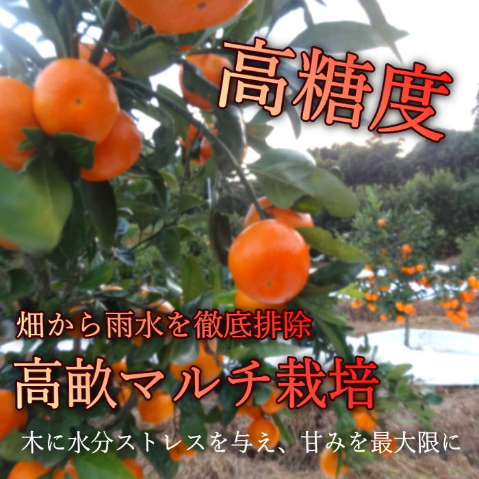 �ھ����ֹ棷������ͼ�Ƥ�ɱ���쥮��顼Ȣ�����������硡��ͥ���硡�󣵣����