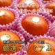 �ھ����ֹ棷������ͼ�Ƥ�ɱ���쥮��顼Ȣ�����������硡��ͥ���硡�󣵣����