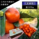 �ھ����ֹ棷������ͼ�Ƥ�ɱ���쥮��顼Ȣ�����������硡��ͥ���硡�󣵣����