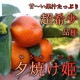 �ھ����ֹ棷������ͼ�Ƥ�ɱ���쥮��顼Ȣ�����������硡��ͥ���硡�󣵣����